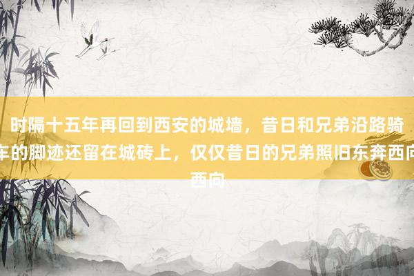 时隔十五年再回到西安的城墙，昔日和兄弟沿路骑车的脚迹还留在城砖上，仅仅昔日的兄弟照旧东奔西向