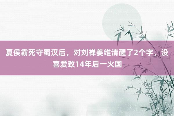 夏侯霸死守蜀汉后，对刘禅姜维清醒了2个字，没喜爱致14年后一火国